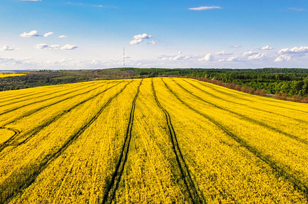 Aerial drone view of nature in Moldo, a Nature Photo by frimufilms