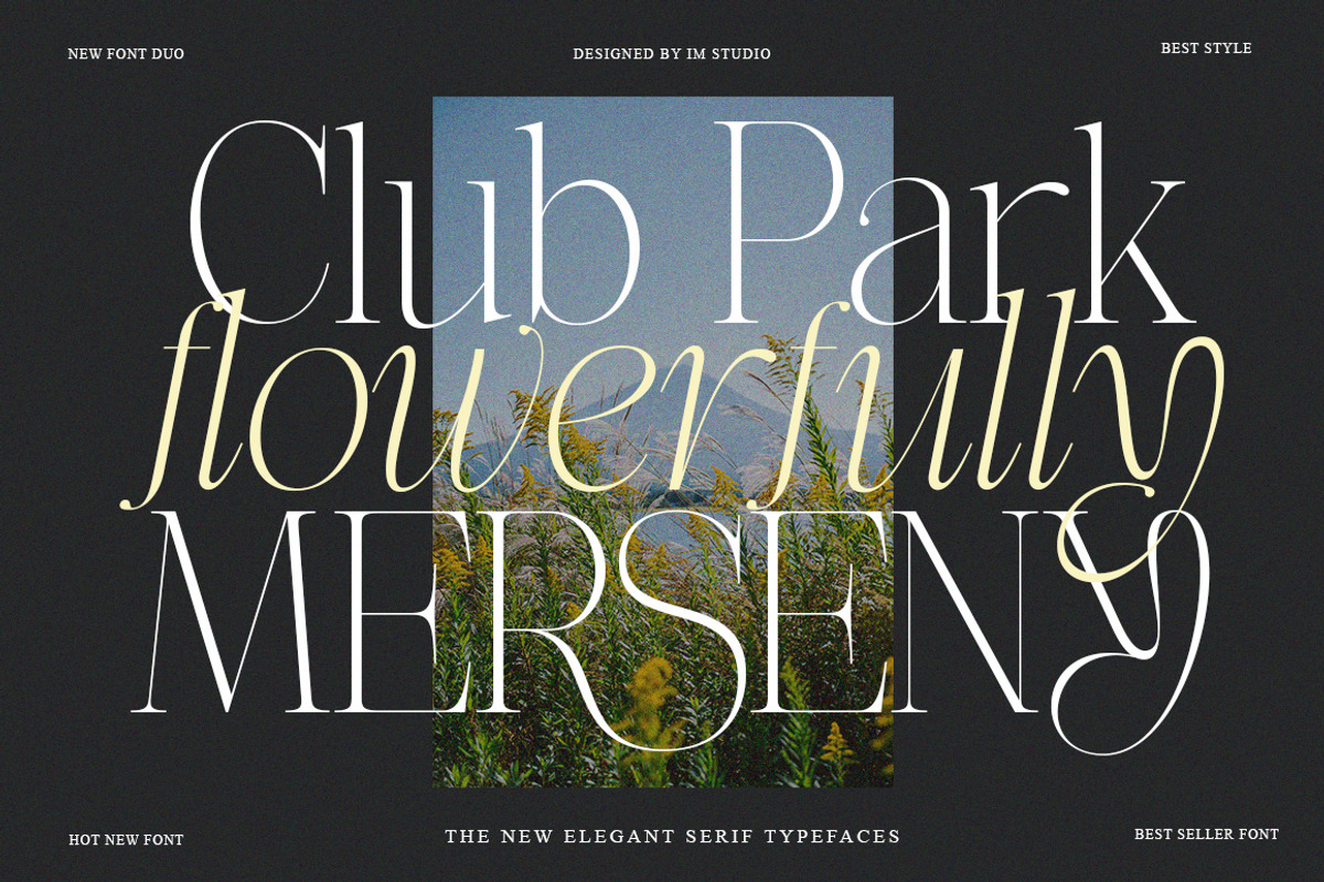 Effidhem Mevagen | 18 Font Files, a Serif Font by IM Studio (Photo 7 of 14)