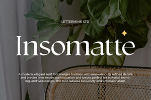 Insomatte - Modern Serif