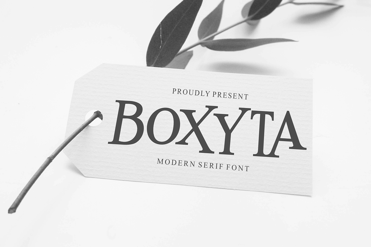 Boxyta, a Serif Font by almazstudio (Photo 4 of 10)