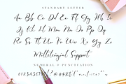 Elmira Script, a Script Font by Nissa Studio (Thumbnail 10 of 11)