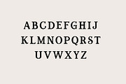 Brickworks Vintage Serif Font, a Serif Font by UICreative (Thumbnail 5 of 12)