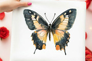 Watercolor Spring Butterfly Clipart, an Animal Illustration by designcity5 (Thumbnail 3 of 5)