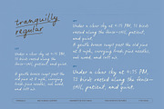 Tranquilly | Handwritten Font, a Handwritten Font by type peace (Thumbnail 10 of 19)
