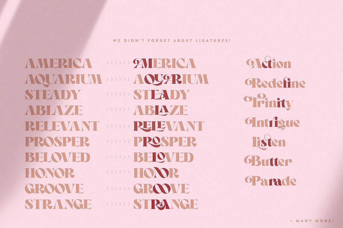 Sonder - Beautiful Serif Typeface, a Serif Font by 1871 Project (Photo 11 of 14)