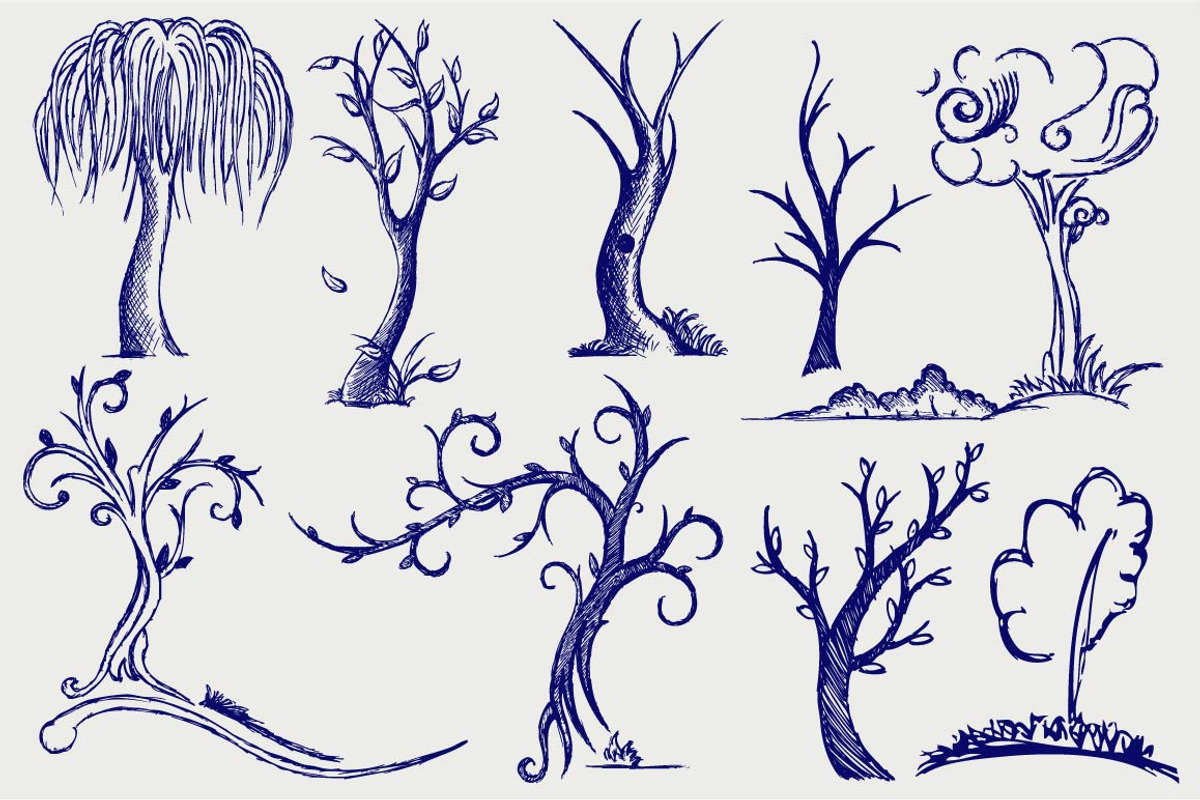 Many trees, a Decorative Illustration by LineworkStock (Photo 1 of 3)
