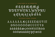 Regime Misfiles Serif Oldstyle Font, a Serif Font by Letterena Studios (Thumbnail 14 of 15)