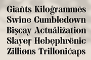 MTC Granfise - A Unique Serif, a Serif Font by Martype (Thumbnail 9 of 12)