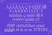 Rastaglion - Fluid Serif, a Font by Mokatype Studio (Thumbnail 10 of 11)