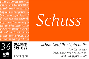 SchussSerifProLigIta No.36 (1 Font)