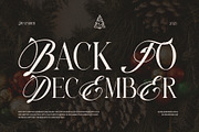 Never Things Elegant & Premium Serif, a Serif Font by Graphicxell (Thumbnail 5 of 10)