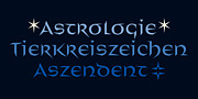 Distel, a Font by Finaltype (Thumbnail 7 of 11)