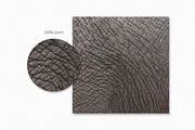 Neutral African Textures, a Texture Graphic by rileyBgraphics (Thumbnail 8 of 8)