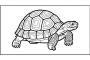 Turtle Line Art Illustration Bundle, an Illustration by Creativeshirt (Thumbnail 29 of 48)