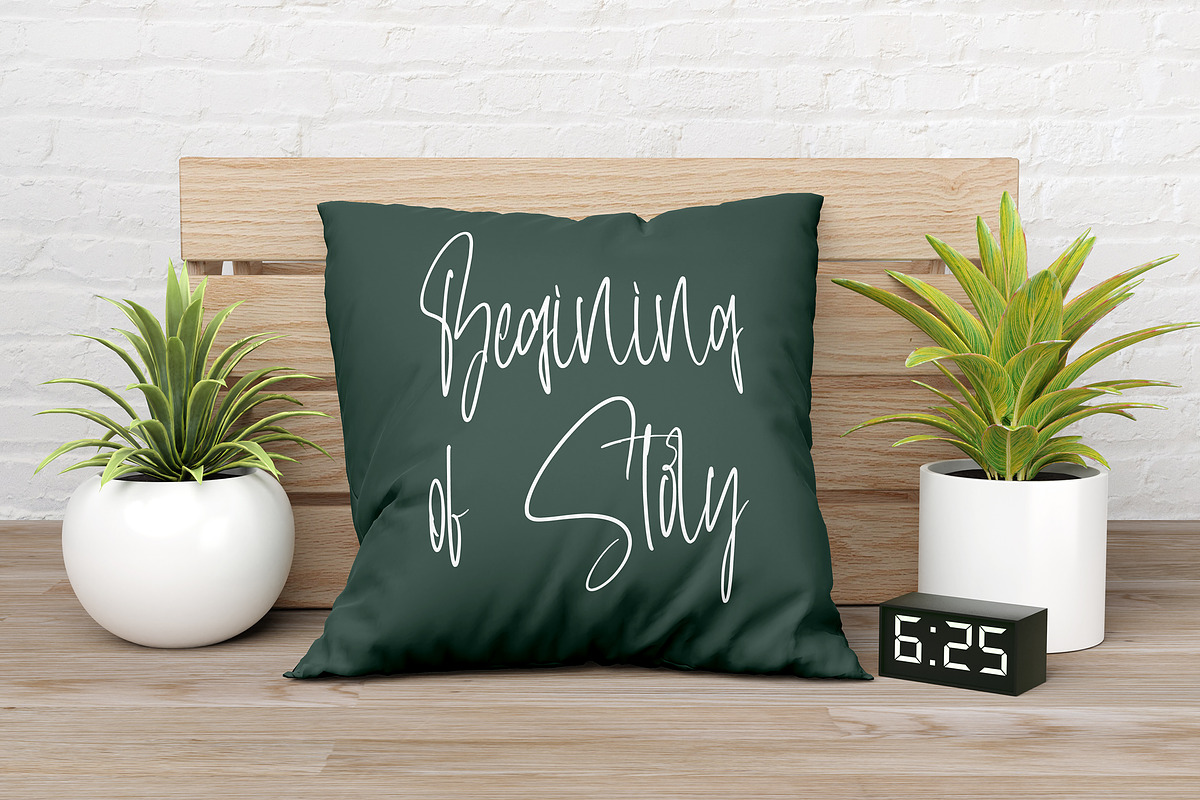 LoyaltyProgram - Calligraphy Font, a Symbol Font by AQR Studio (Photo 9 of 9)