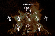 Baking | Script Font, a Handwritten Font by Scratchones (Thumbnail 8 of 9)
