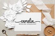Spooky, a Script Font by DN Creative (Thumbnail 2 of 6)
