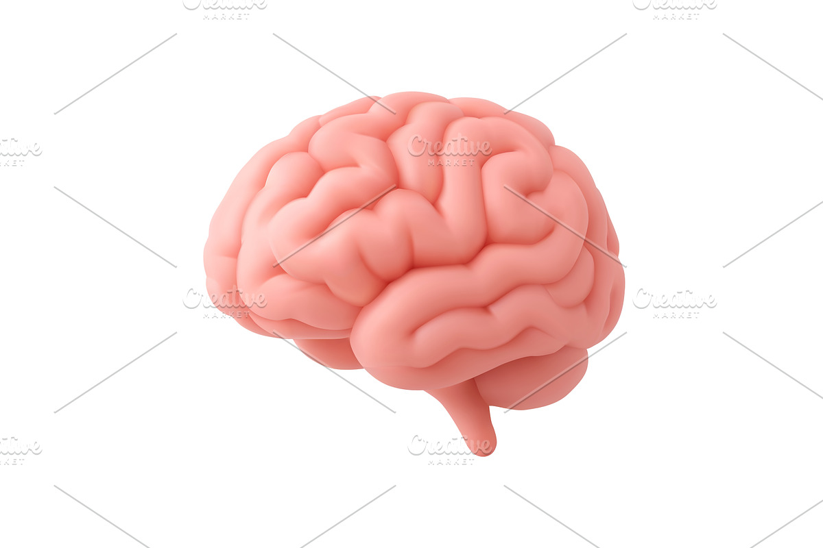 3d Brain icon., an Illustration by ModVector