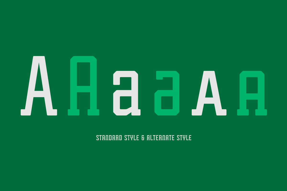 Tecnica Slab Font Family preview 4