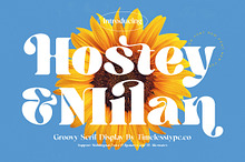 Hostey & Milan Groovy Serif