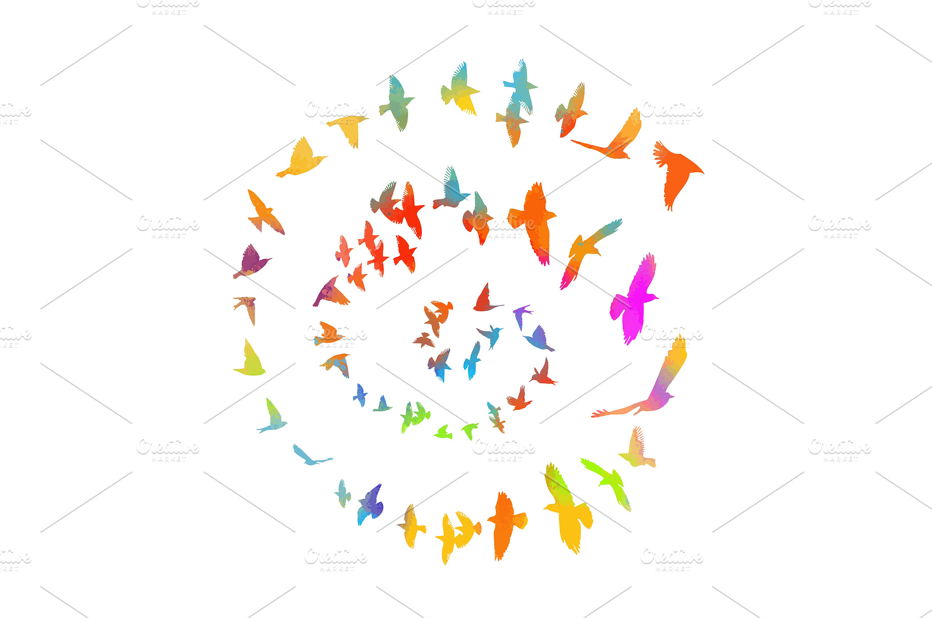 Colored birds flying in a circle in, an Animal Photo by Nenahliadava Design