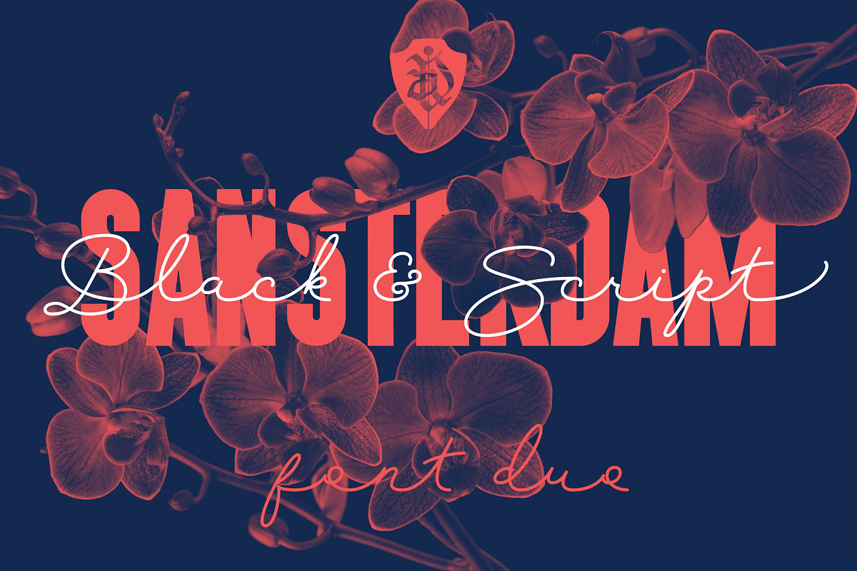 Sansterdam Black & Script preview 2