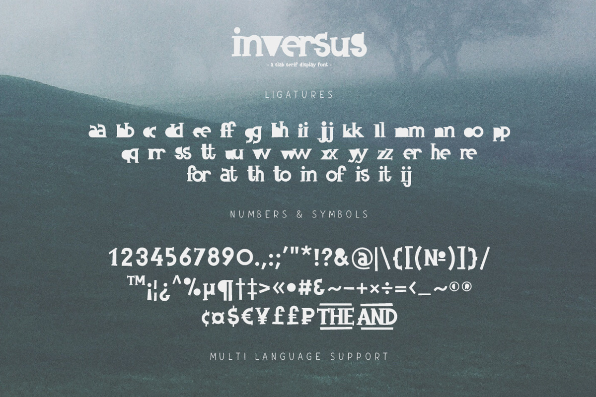 Inversus – a slab serif display font, a Slab Serif Font by chekart (Photo 9 of 9)
