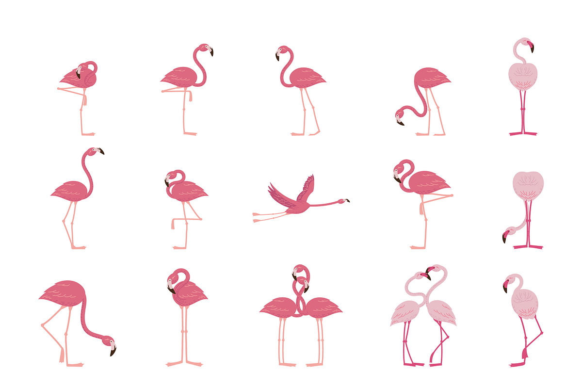 Flamingo Birds Illustrations Set