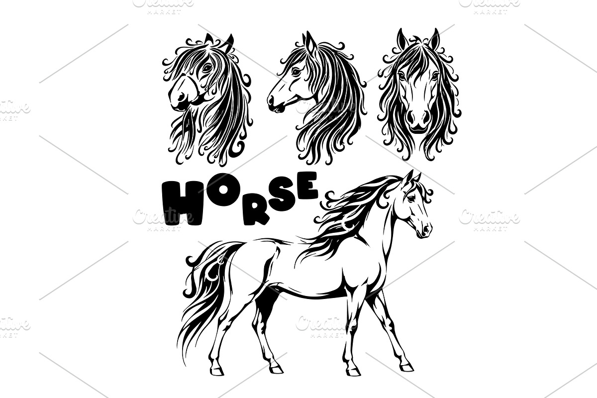 Beautiful Horse Set . Hand drawn, an Animal Illustration by Nenahliadava Design