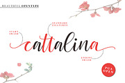 Cattalina - Beauty Font, a Script Font by Good Java Studio (Thumbnail 5 of 9)
