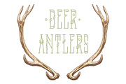Deer antlers collection., an Animal Illustration by ArtOwl (Thumbnail 1 of 8)