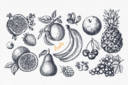 Fruits. Hand drawn collection., a Food Illustration by natadanko (Thumbnail 2 of 4)