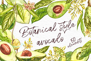 Avocado in botanical style, a Food Illustration by Ann Astro (Thumbnail 1 of 13)