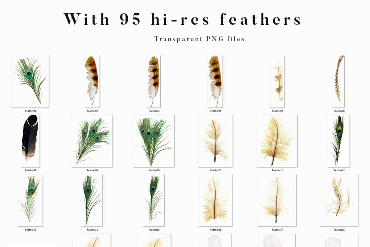 Feather Toolkit - Photos & Graphics, a Mockup by Cruzine (Photo 7 of 9)