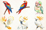 Watercolor Tropical Parrots Clipart, an Illustration by Libby Wishes (Thumbnail 6 of 6)