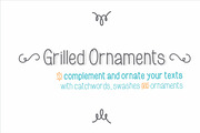 Grilled Ornaments, a Script Font by Fonts & Printables (Thumbnail 1 of 2)
