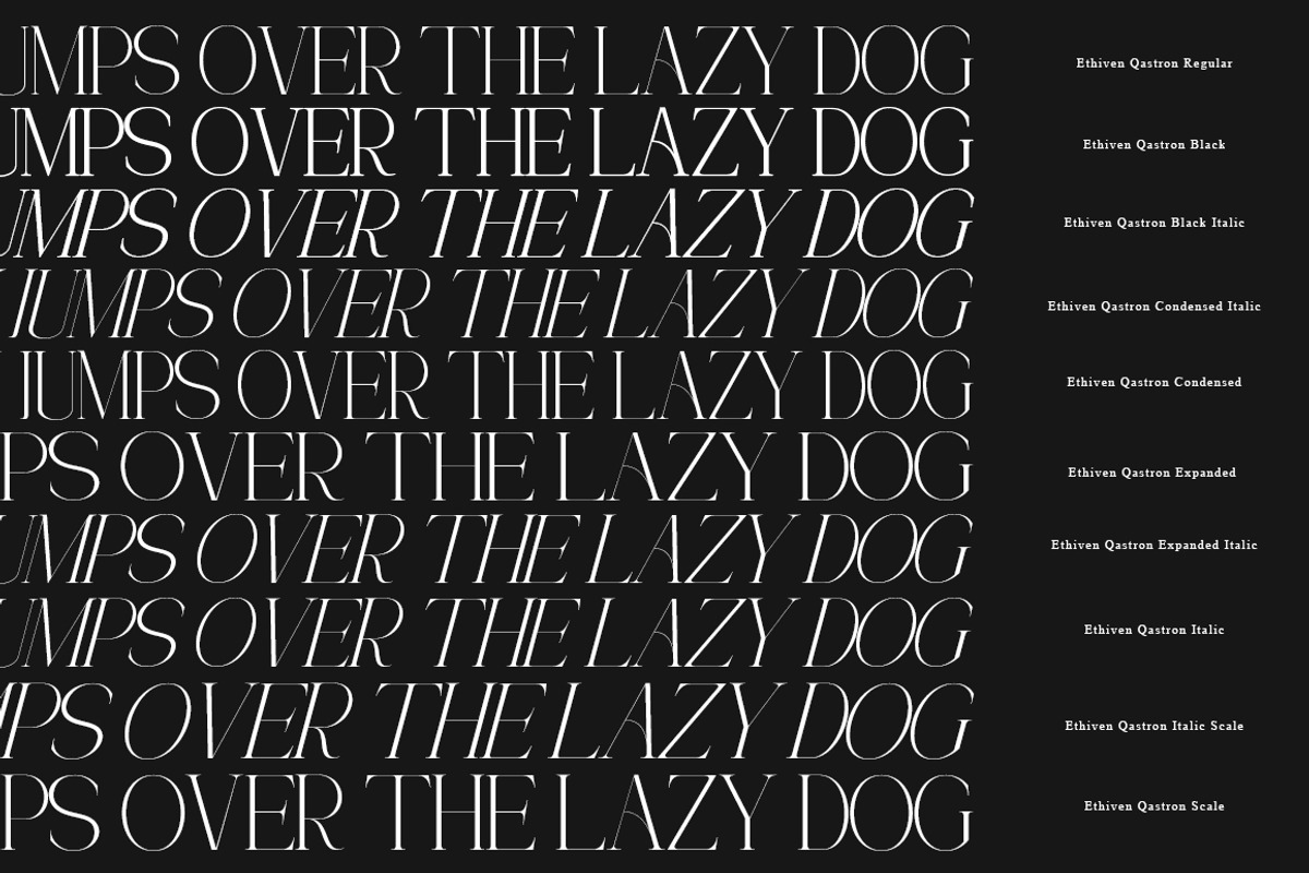 Ethiven Qastron | 10 Font Style, a Serif Font by IM Studio (Photo 11 of 12)