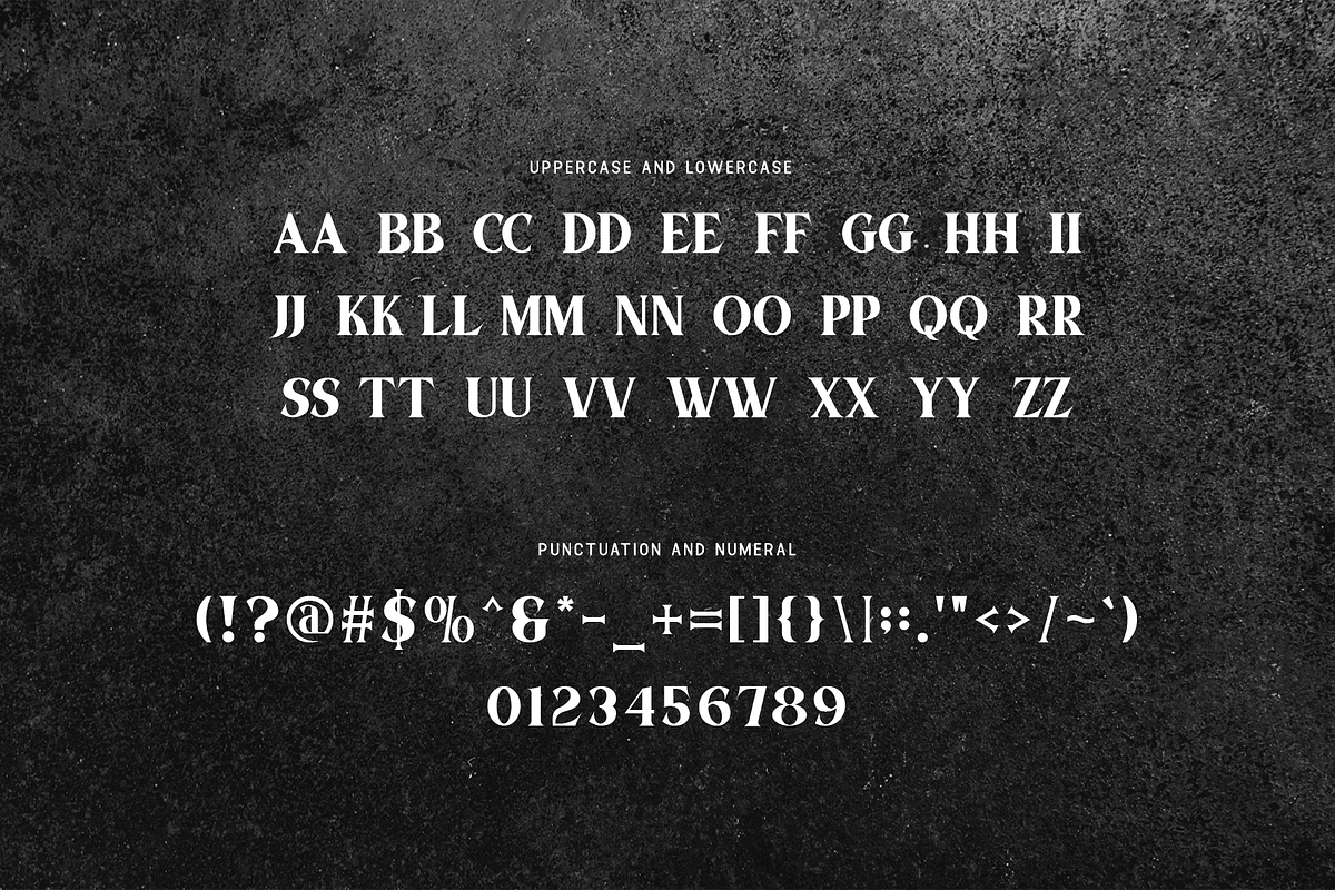 Aostiva - Modern Serif Font, a Serif Font by overlaytemplates (Photo 4 of 5)