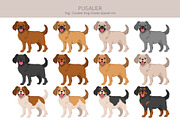 Pugalier (Cavapug) dog mix, an Animal Illustration by pet design shop (Thumbnail 2 of 6)