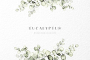 Eucalyptus watercolor illustrations, a Decorative Illustration by Liliia Polos Illustration (Thumbnail 1 of 11)