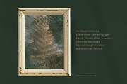 Organic Macro Botanical Textures, a Texture Graphic by Elena Pimonova (Thumbnail 5 of 13)