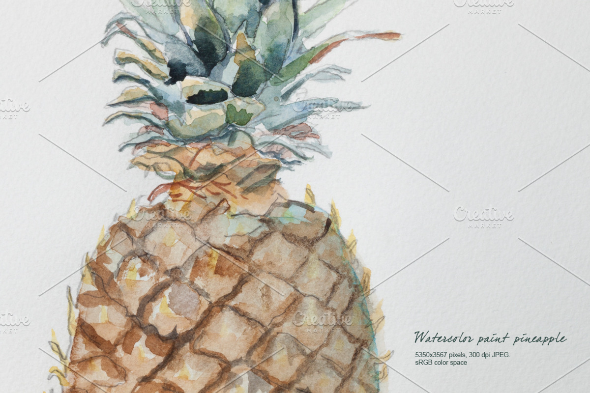 Pineapple watercolor, a Food Illustration by Ernesto Solla (Photo 2 of 2)