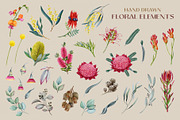 Australia Flora Fauna Clipart, an Animal Illustration by AnitaPol (Thumbnail 25 of 27)
