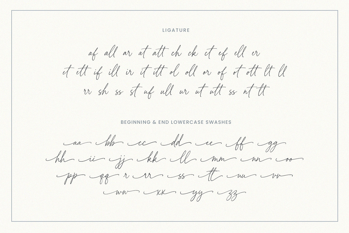 White Camellia Script Font, a Script Font by Seagulls Creative (Photo 12 of 12)