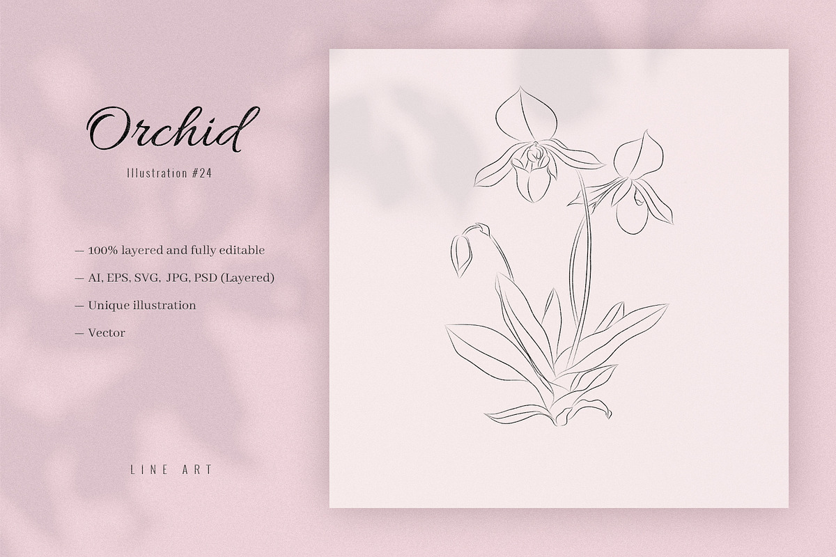 Orchid #24. Line Art Illustration, a Decorative Illustration by lapi-olesya (Photo 1 of 3)