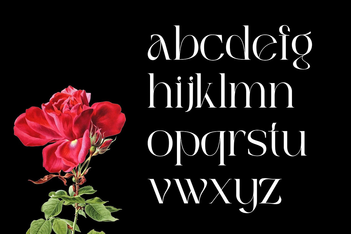 Bagek - Modern Display Serif, a Serif Font by Nirmana Visual (Photo 5 of 8)