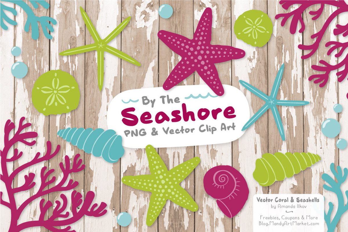 Seashells Clipart in Bohemian, an Illustration by Amanda Ilkov (Photo 2 of 5)
