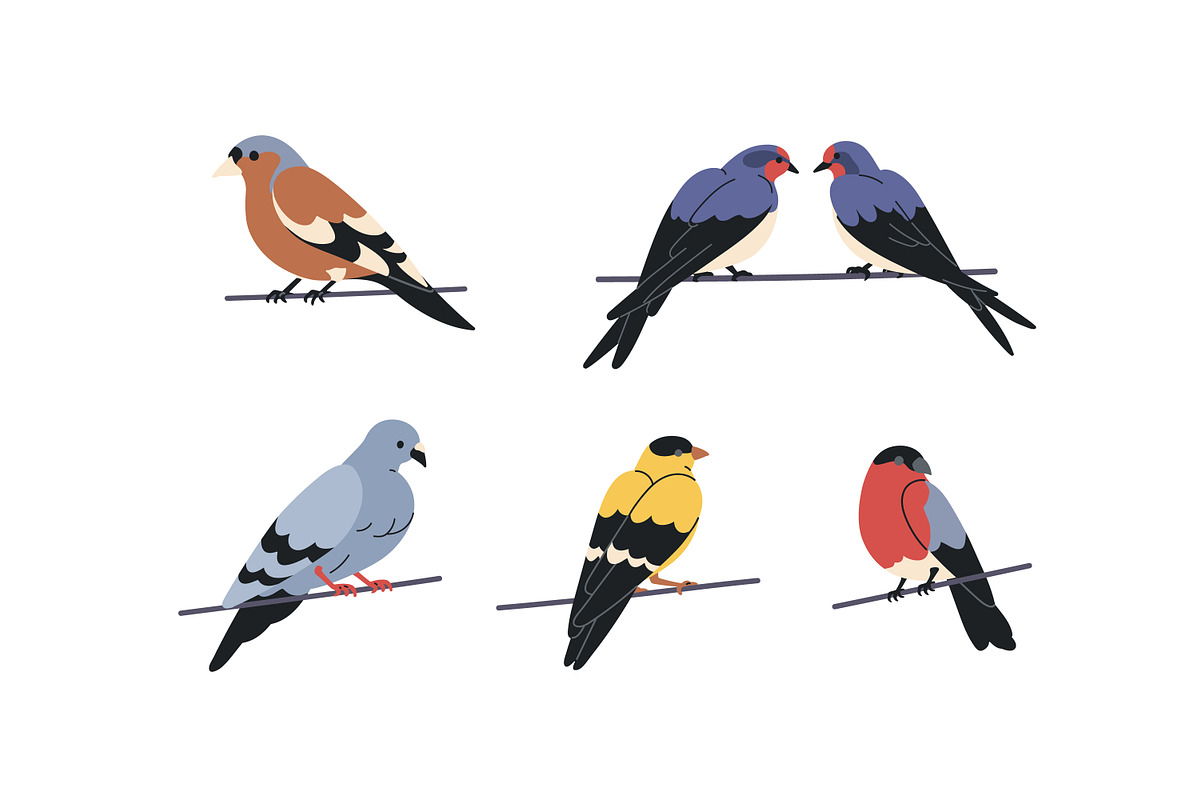 Different birds sitting on wires set, an Animal Illustration by Good Studio (Photo 3 of 5)