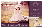 Summer Collection - PS Bundle preview 4