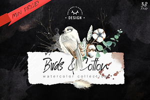 Birds and  Cotton Watercolor Set